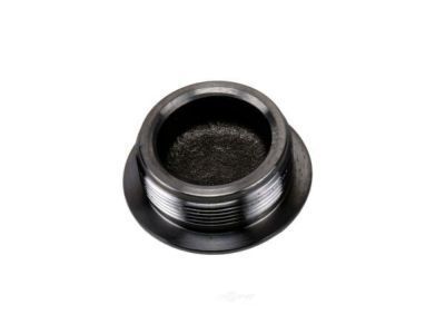 Chevy Silverado 1500 LTD Body Mount Hole Plug - 20848733