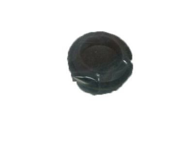 GM 20848733 Box Assembly Hole Plug, Outer