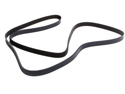 2006 Chevy Trailblazer Drive Belt - 12637202