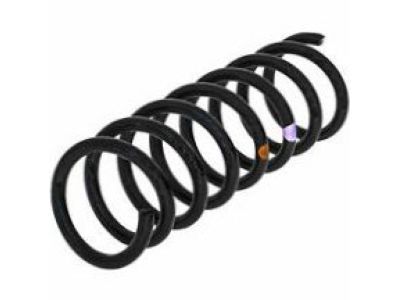 Oldsmobile Regency Coil Springs - 10035259