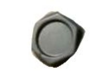 Chevy Tracker Wheel Cover - 10028614