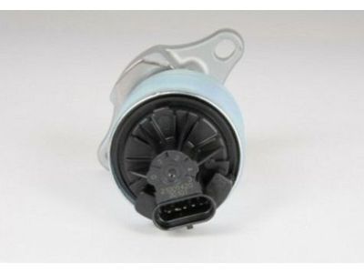 GM 21009422 EGR Valve