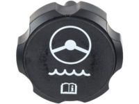 GM 10317982 Cap, Steering Pump