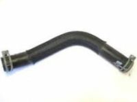 GM 25757838 Lower Hose