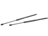GM 23283648 Lift Cylinder, Driver Side