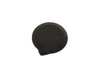 GM 95984307 Hole Plug