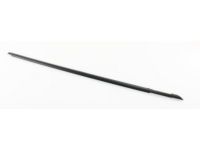 GM 23112215 Belt Molding, Front Passenger Side