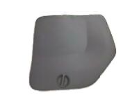 GM 84168821 Compartment Door, Rear Driver Side