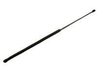 GM 15938028 Lift Cylinder