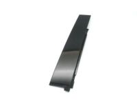 GM 23377435 Applique, Rear Driver Side