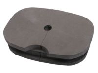 GM 13235679 Inner Hinge Pillar Insulator