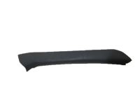 GM 15676806 Molding, Passenger Side
