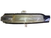 GM 22778936 Lamp Kit, Inside/Outside Rear View