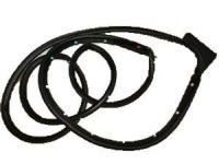 GM 23277123 Surround Weatherstrip, Driver Side