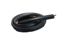 GM 22766379 Surround Weatherstrip, Driver Side