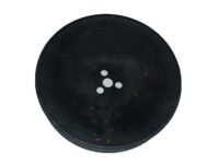 GM 14100598 Pulley
