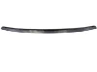 GM 10365423 Molding Strip, Rubber
