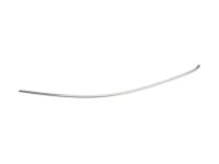 GM 23176655 Reveal Molding, Front Upper Driver Side