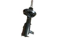 GM 23483689 Strut, Passenger Side