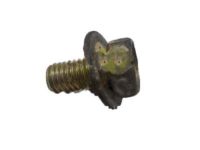GM 94500070 Bolt, Evaporation Emission System(Fuel Tank End)
