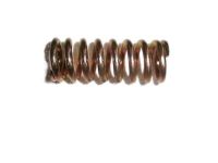 GM 14075472 Hinge Spring
