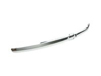 GM 89045613 Molding