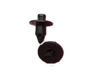 GM 21036860 Side Molding Retainer