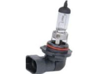 GM 19257054 Bulb & Socket