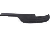GM 15738020 Step Pad, Rear Passenger Side