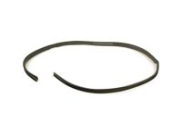 GM 15001925 Weatherstrip, Side Door Window Glass, Front