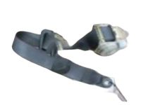 GM 15932902 Belt & Retractor, Rear Driver Side