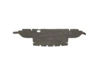 GM 20945229 Lower Baffle