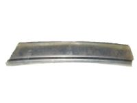GM 15596939 Side Molding, Front Lower