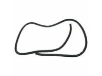 GM 22888211 Weatherstrip, Rear Driver Side
