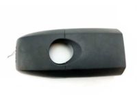 GM 20874116 Trim Cover