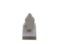 GM 11610669 Retainer, Rear Wheel Opening Cover