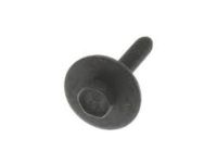 GM 11513947 Power Steering Cooler Bolt