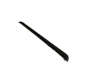 GM 20875222 Belt Weatherstrip, Front Outer Driver Side