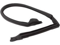GM 10333468 Weatherstrip, Front Door Window Channel, Black, Upper