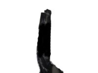 GM 30028278 Door Weatherstrip, Driver Side