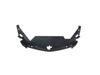 GM 23199234 Sight Shield, Front