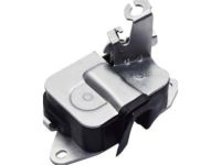 GM 20995801 Lock Actuator, Rear Lower