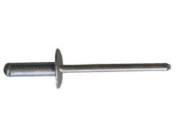 GM 90589346 Outer Reinforcement Rivet
