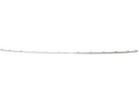 GM 20982426 Molding