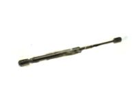 GM 15843995 Lift Cylinder, Rear