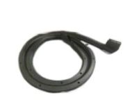 GM 20963562 Rear Weatherstrip