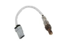 GM 12670253 Oxygen Sensor