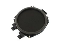 GM 15038566 Front Driver Speaker