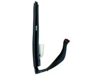 GM 25846199 Rear Weatherstrip, Passenger Side