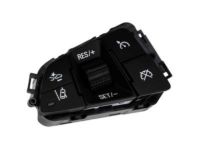 GM 92256901 Cruise Switch, Jet Black
